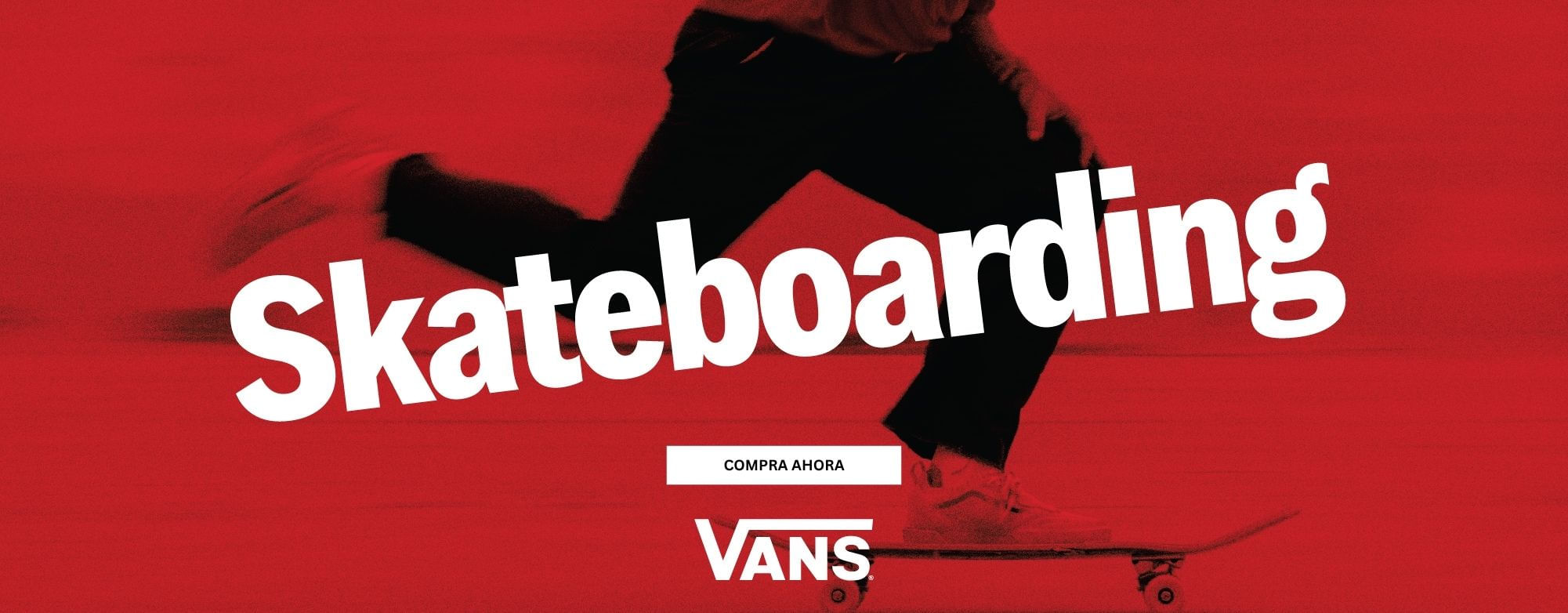 tenis Skate Vans Clasicos